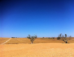 Alentejo Plains