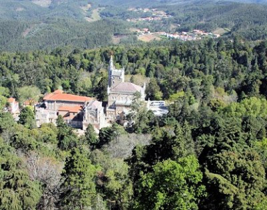 Bucaco Palace - Bucaco Woods
