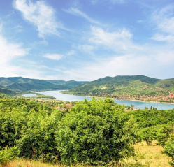 Danube Knee NickoVision Cycling cruises 