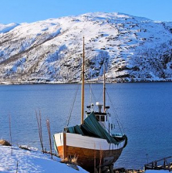 Norway Winter Landscape