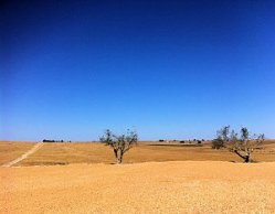 Alentejo Plains